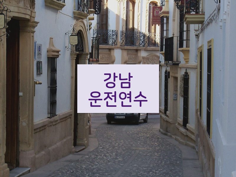 강남운전연수 후기
