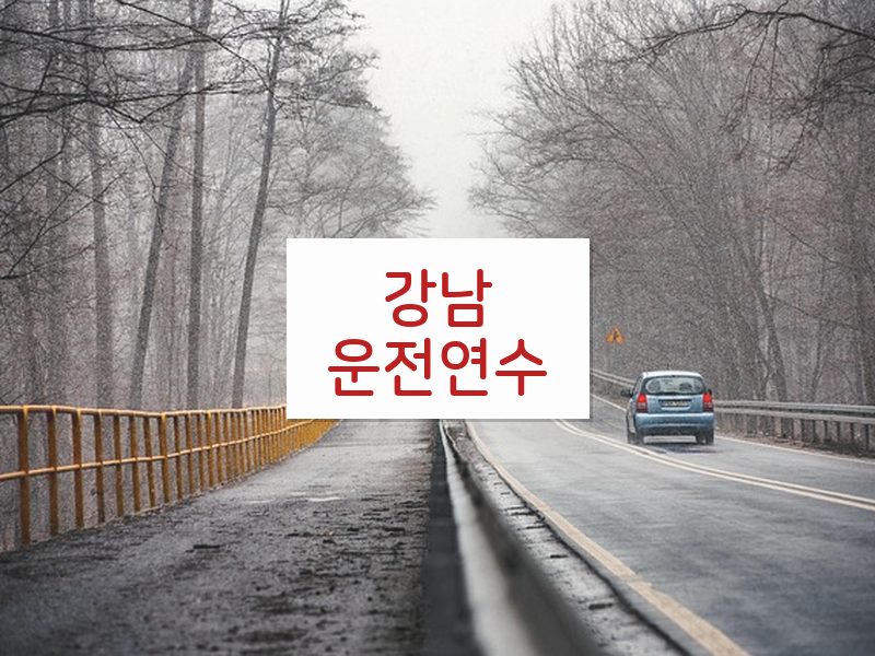 강남운전연수 후기