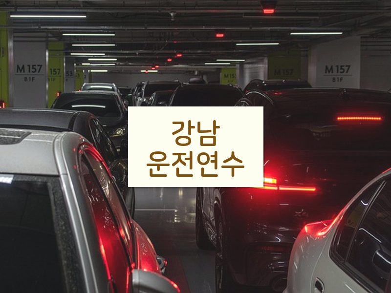 강남운전연수 후기
