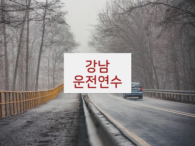 강남운전연수 후기