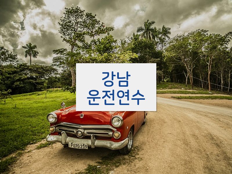 강남운전연수 후기