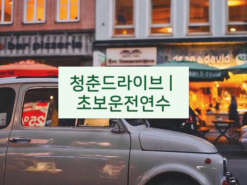 청춘드라이브 | 초보운전연수 후기