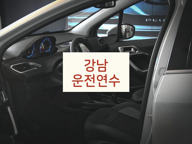 강남운전연수 후기