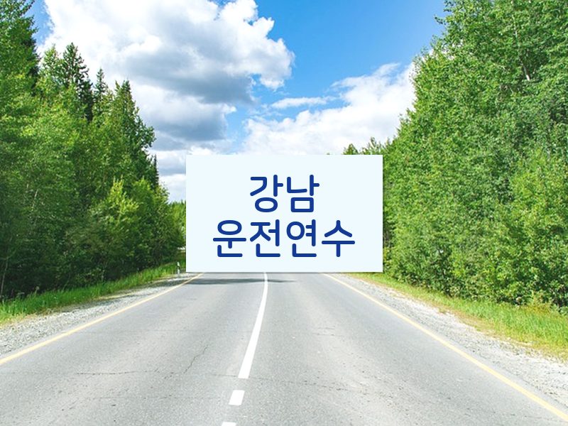 강남운전연수 후기