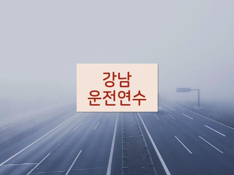 강남운전연수 후기