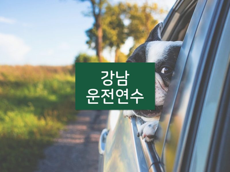강남운전연수 후기