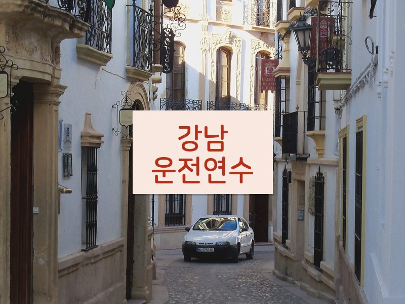 강남운전연수 후기