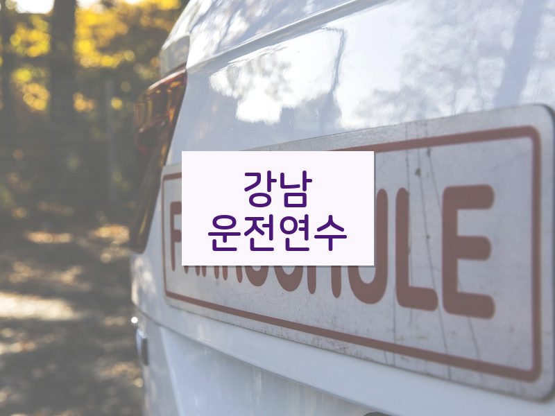 강남운전연수 후기