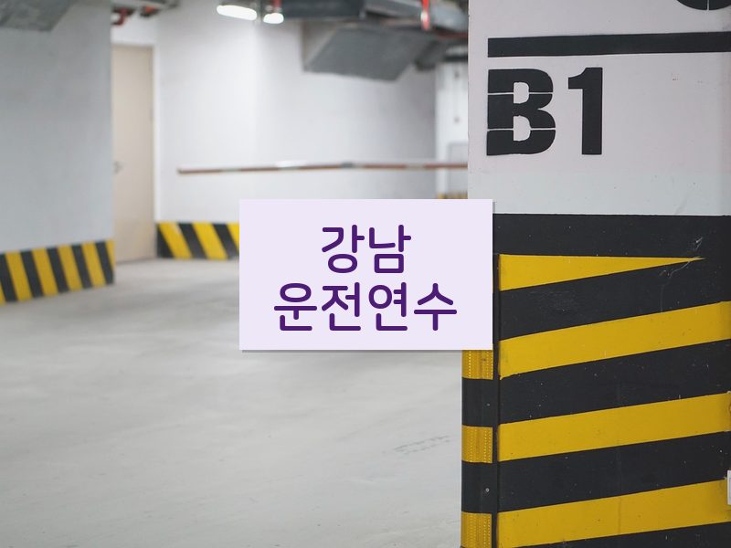 강남운전연수 후기