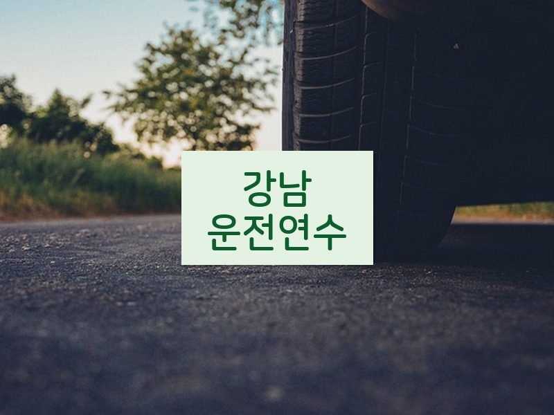강남운전연수 후기
