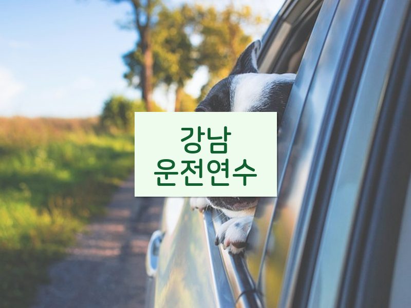 강남운전연수 후기