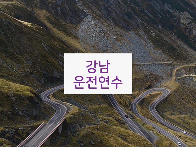 강남운전연수 후기