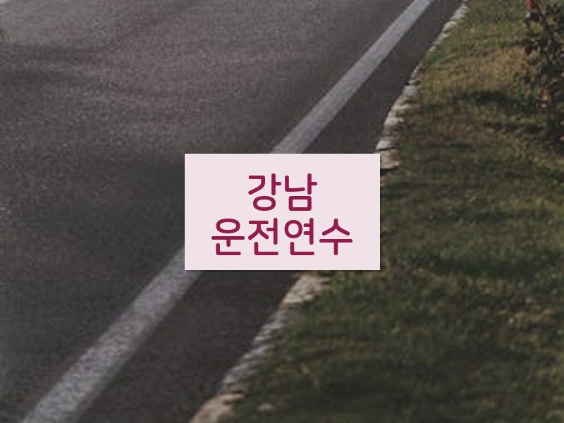 강남운전연수 후기