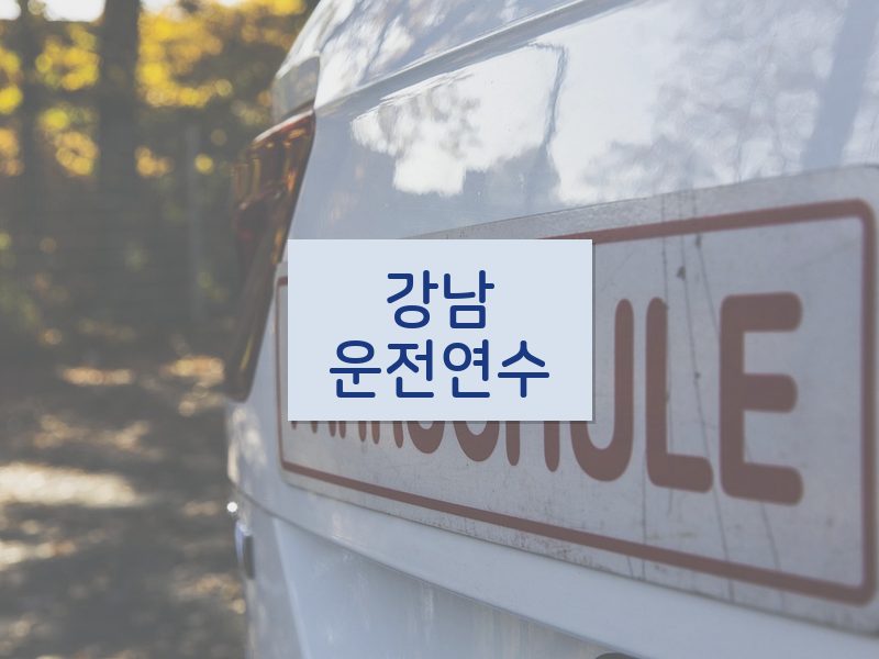 강남운전연수 후기