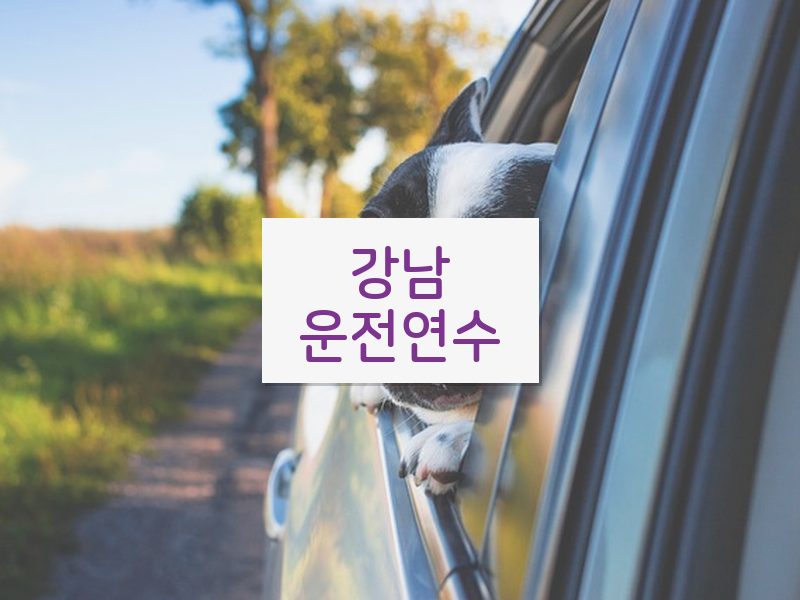 강남운전연수 후기