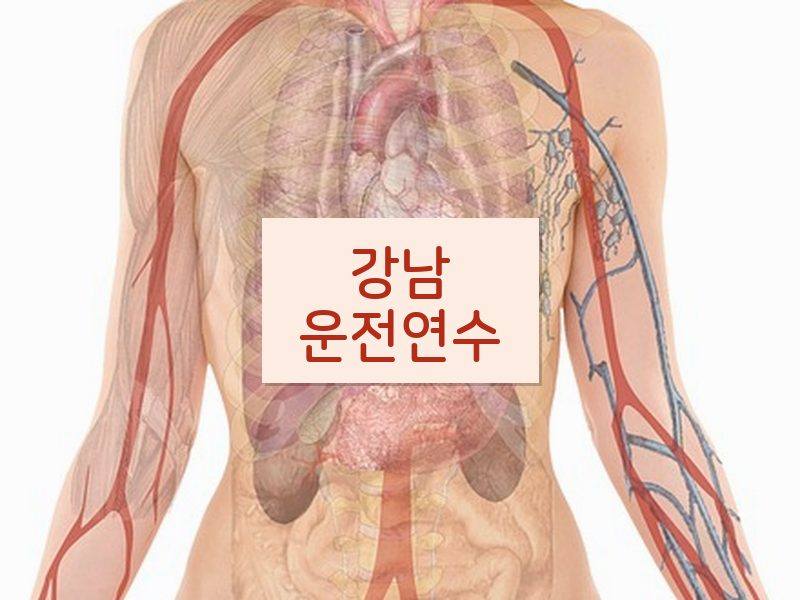 강남운전연수 후기