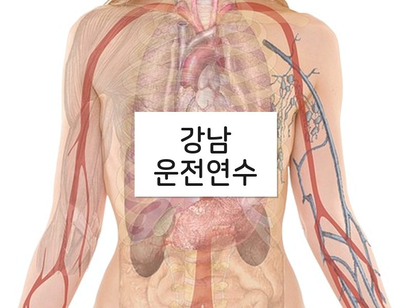 강남운전연수 후기