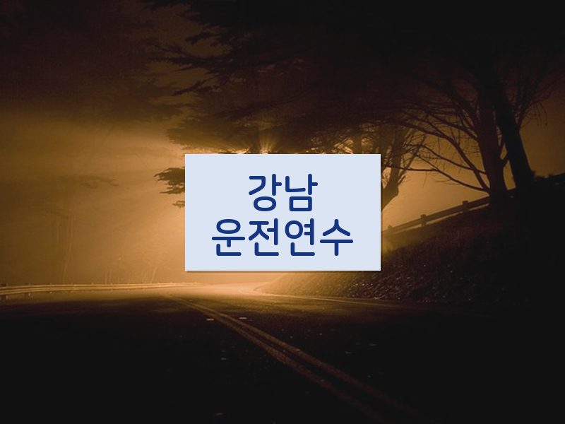 강남운전연수 후기