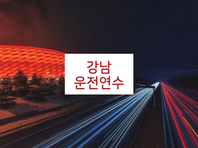 강남운전연수 후기