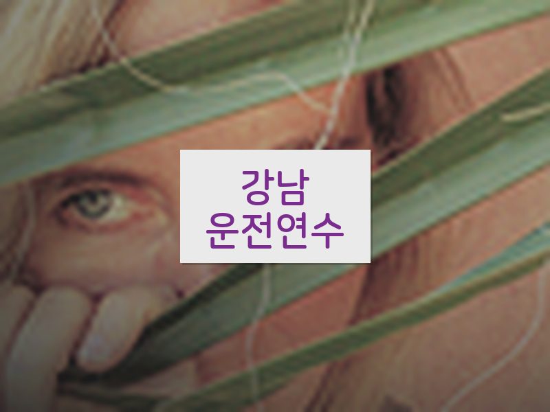 강남운전연수 후기