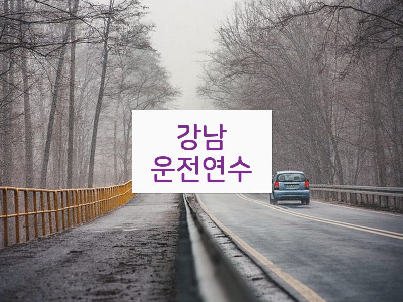 강남운전연수 후기