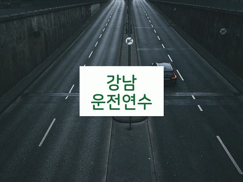 강남운전연수 후기