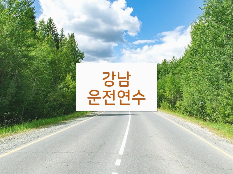 강남운전연수 후기