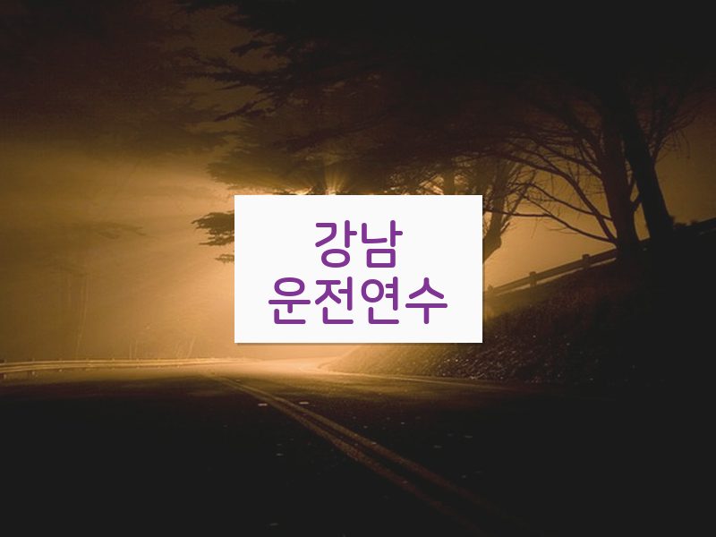 강남운전연수 후기
