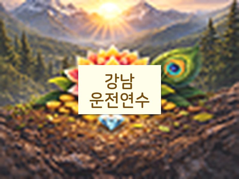 강남운전연수 후기