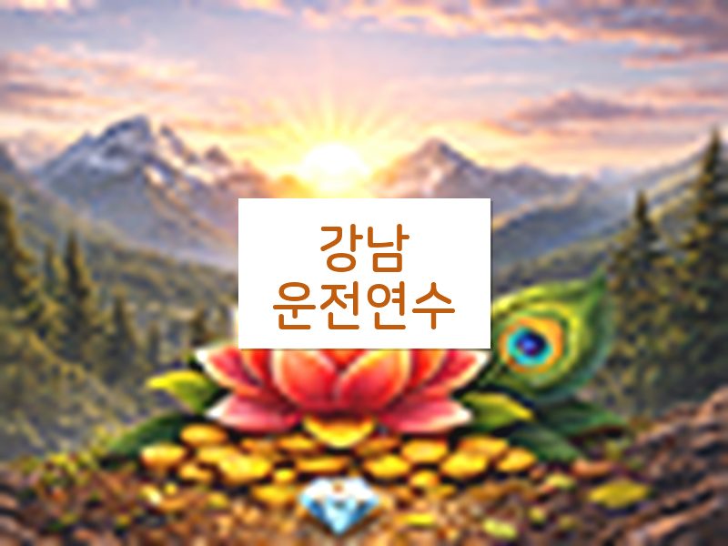 강남운전연수 후기