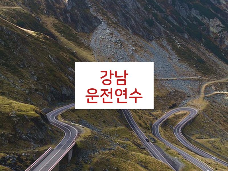 강남운전연수 후기