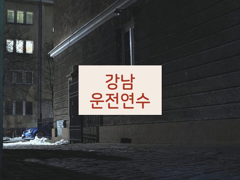 강남운전연수 후기