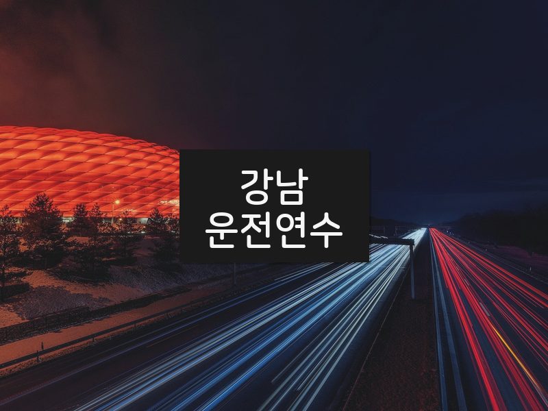 강남운전연수 후기
