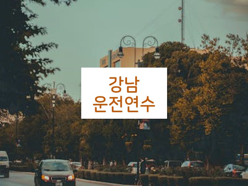 강남운전연수 후기
