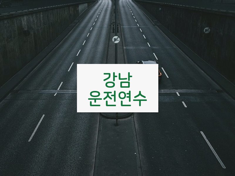 강남운전연수 후기
