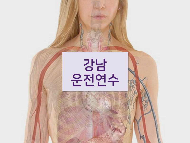 강남운전연수 후기