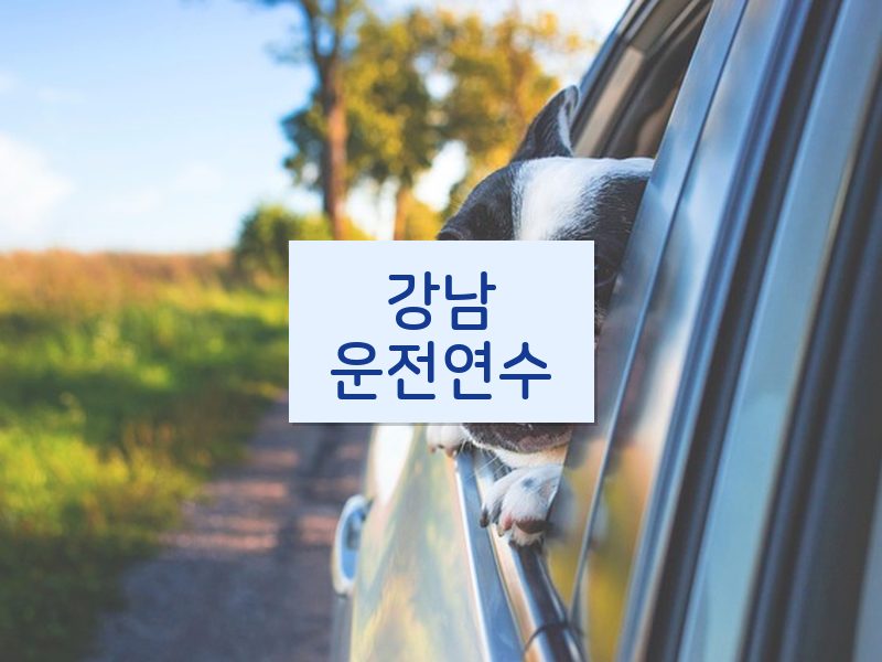 강남운전연수 후기
