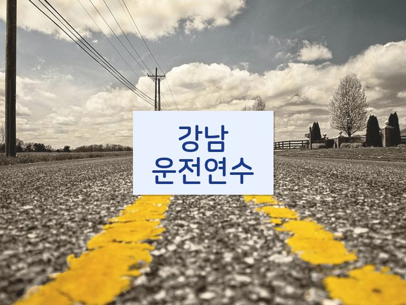 강남운전연수 후기