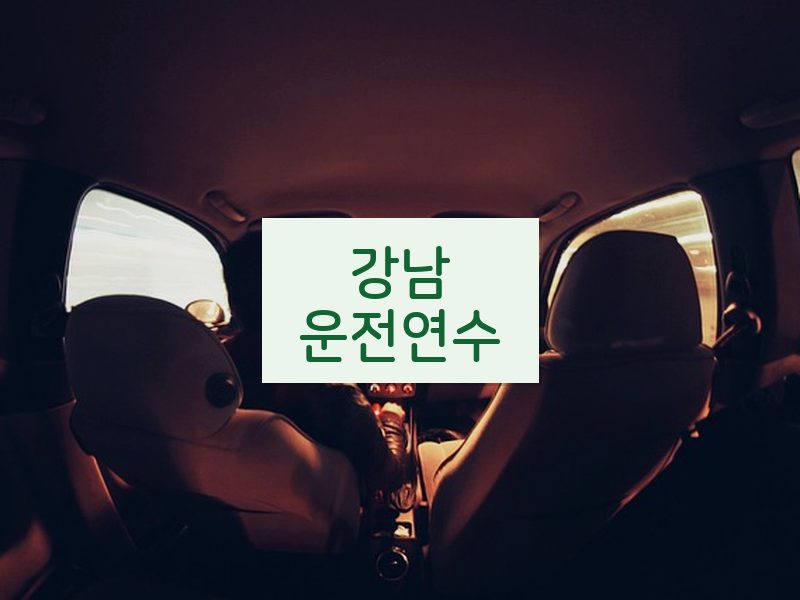 강남운전연수 후기