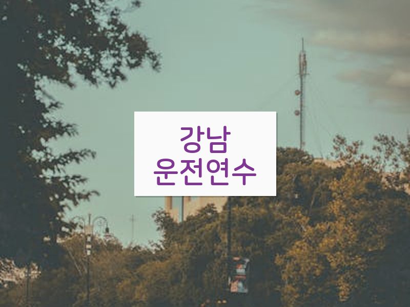 강남운전연수 후기