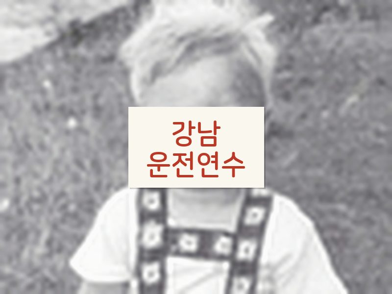 강남운전연수 후기