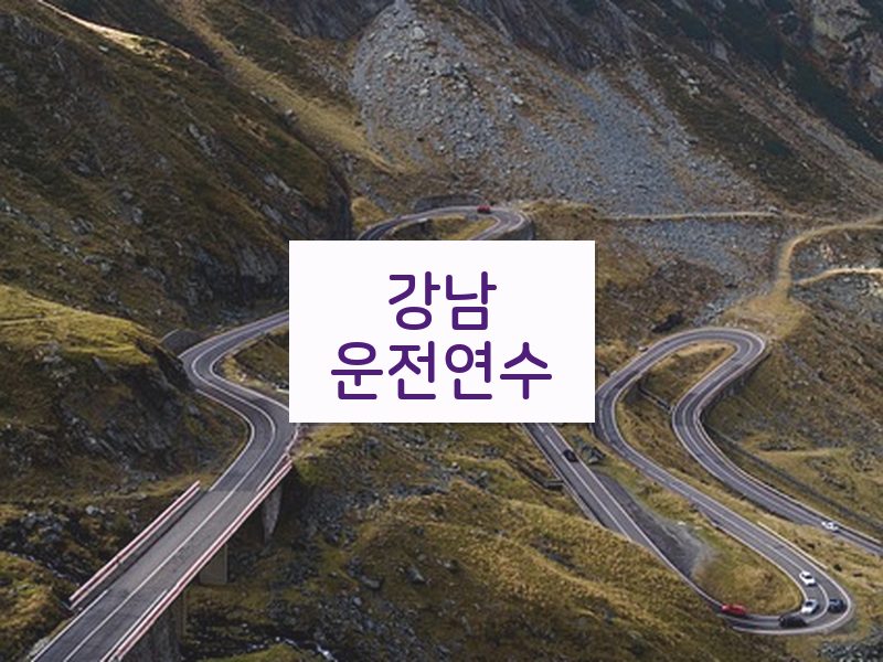 강남운전연수 후기