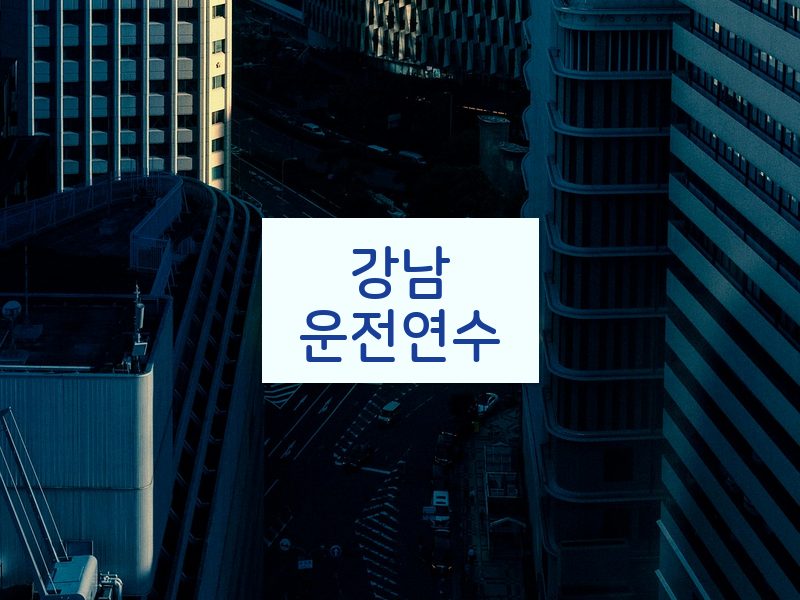 강남운전연수 후기