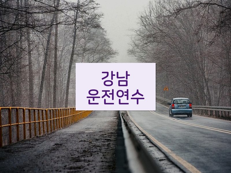 강남운전연수 후기