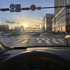 혼잡한 시간 운전 연습