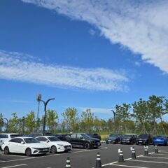 강남 쪽 도로는 무서워요