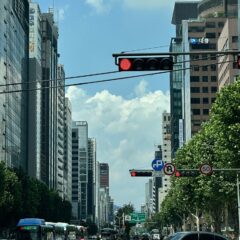 후진에 완전 실패