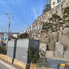 강남 주차 실수 했어요