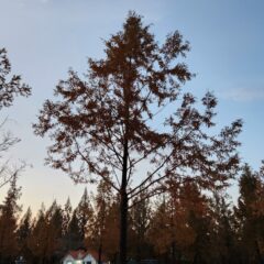 강남운전연수 솔직 후기 남겨요