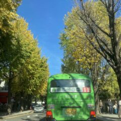 내숙 방문도 이제 쉬워요